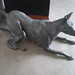 Edward Day Photo 11