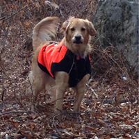 Kelly Keller Photo 17