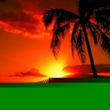 Marc Weiner Photo 11 Marc Weiner Photo 11