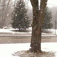 David Richert Photo 13