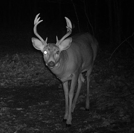 Jay Weiss Photo 15 Jay Weiss Photo 15