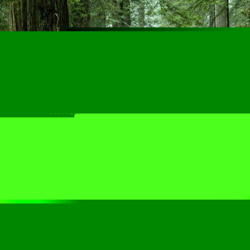 Anna Vazquez Photo 21