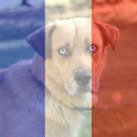 Dorothy Schultz Photo 24