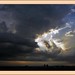 Dawn Campos Photo 21