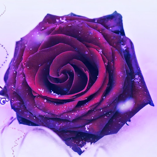 Riya Sawant Photo 8