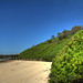 Catherine Sands Photo 21