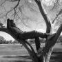 Douglas Gray Photo 35