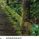 Mandy Sexton Photo 8