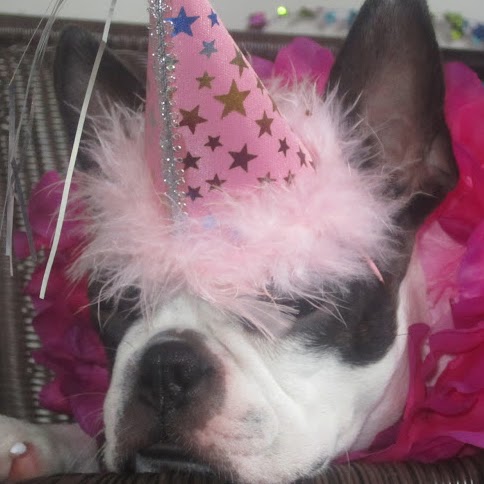 Sherry Stokes Photo 13