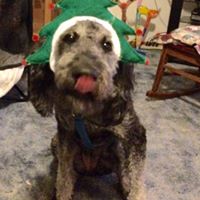 Janice Powers Photo 13