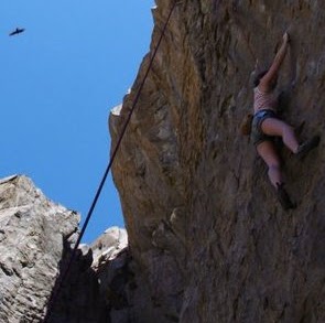 Janet Cannon Photo 42