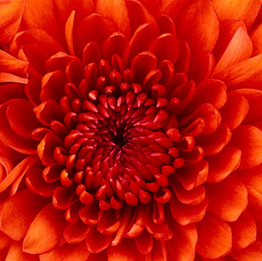 April Anderson Photo 12