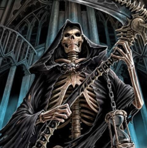 Steve Potts Photo 12 Steve Potts Photo 12