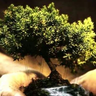 Lance Mathews Photo 14