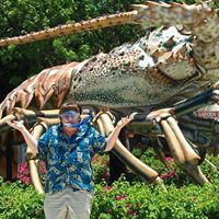 Steve Allred Photo 16