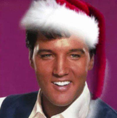 Donna Ellis Photo 48