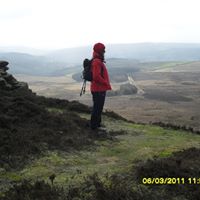 Janet Morton Photo 11