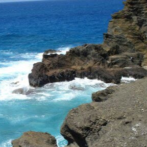 Ashlee Hunter Photo 8