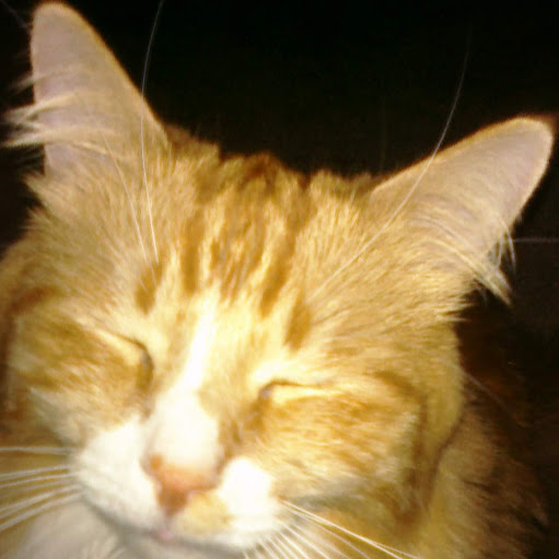 Ronald Watts Photo 38 Ronald Watts Photo 38