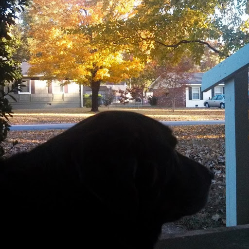 Julie Hudson Photo 9