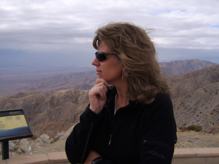 Sue Winters Photo 23