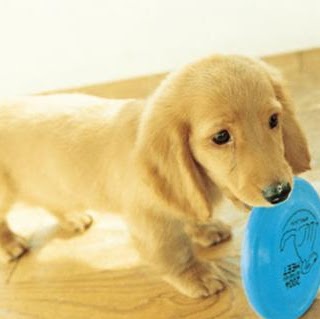 Katherine Hopper Photo 17