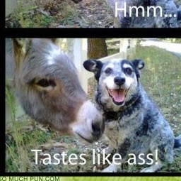 Shawn Cowan Photo 31