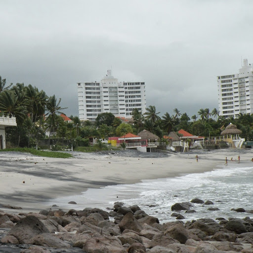 Elizabeth Smiley Photo 27