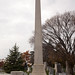 John Schofield Photo 38
