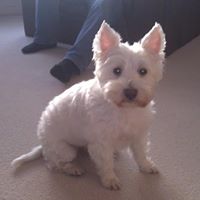 Janet Gilman Photo 8