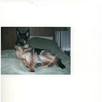 Sandra Hayward Photo 15