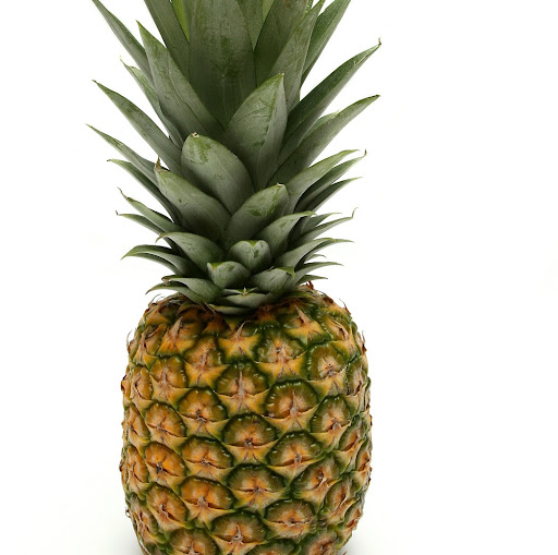 Joseph Ryan Photo 53