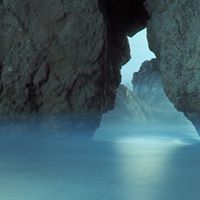 Virginia Davidson Photo 35