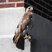 Debbie Frantz Photo 6