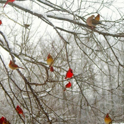 Jessica Conley Photo 31