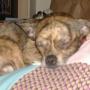Deborah Hager Photo 17