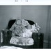Deborah Keith Photo 14