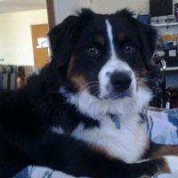 David Vanderkinter Photo 3