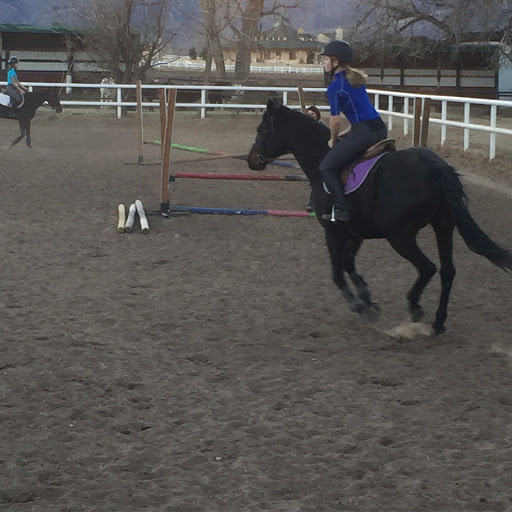 Anna Carpenter Photo 18