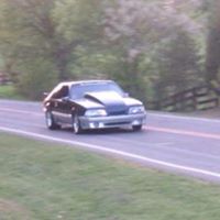 Dale Burris Photo 7