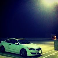 Peter Lee Photo 16 Peter Lee Photo 16