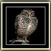 Janet Hawks Photo 25