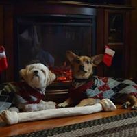 Nancy Burchett Photo 19