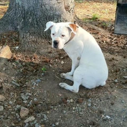 Barbara Bass Photo 22