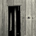 Louis Doyle Photo 8