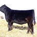 Barbara Ridgley Photo 10