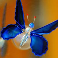 Jeannette Perkins Photo 2