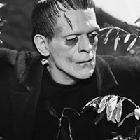 Nicholas Matthews Photo 12