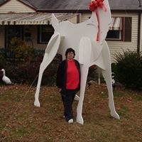 Judy Lafollette Photo 3