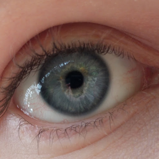 Dan Stewart Photo 11